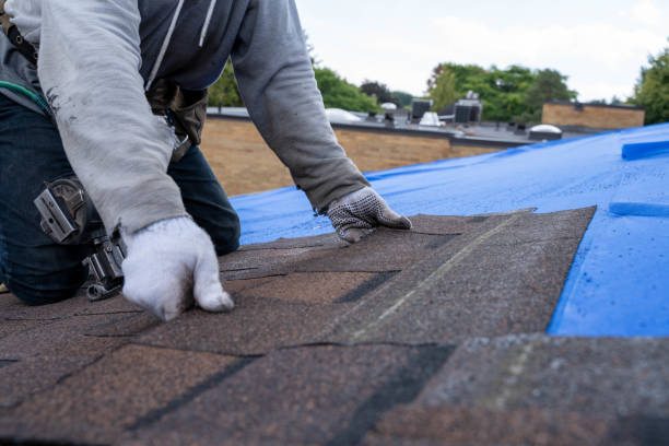 Quick and Trustworthy Emergency Roof Repair Services in Little Chute, WI